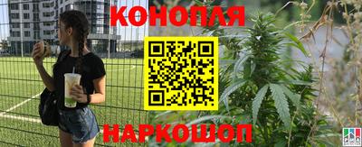 винт Мирный