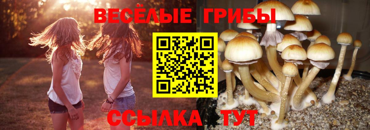 Галлюциногенные грибы мицелий  Галлюциногенные грибы Magic Shrooms  Сальск  Вход с VPN 